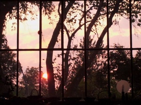 Chez Elisabeth- la campagne en ville - Lyon