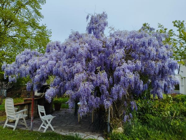 La maison de Laurie & Fabien : Au coeur des châteaux de la Loire