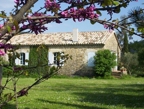 dominique's house