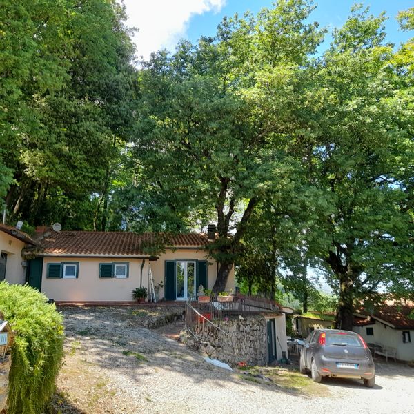 Simonas hus