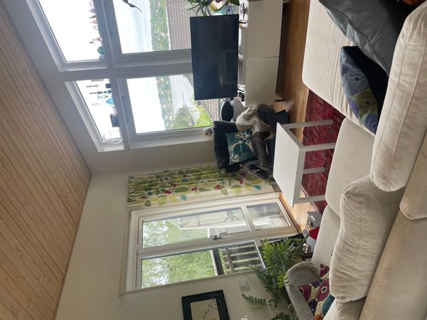 Michael's house