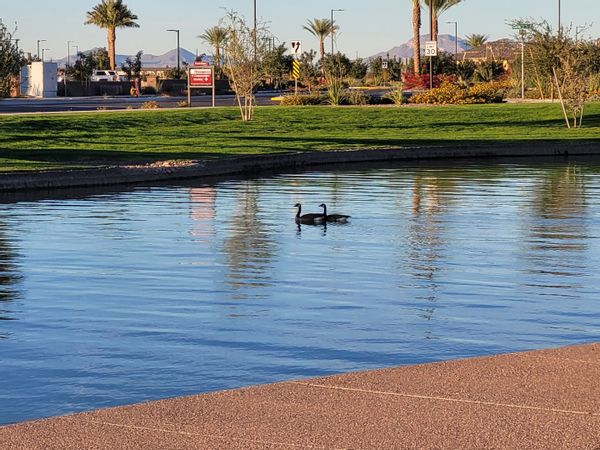 La maison de Richard