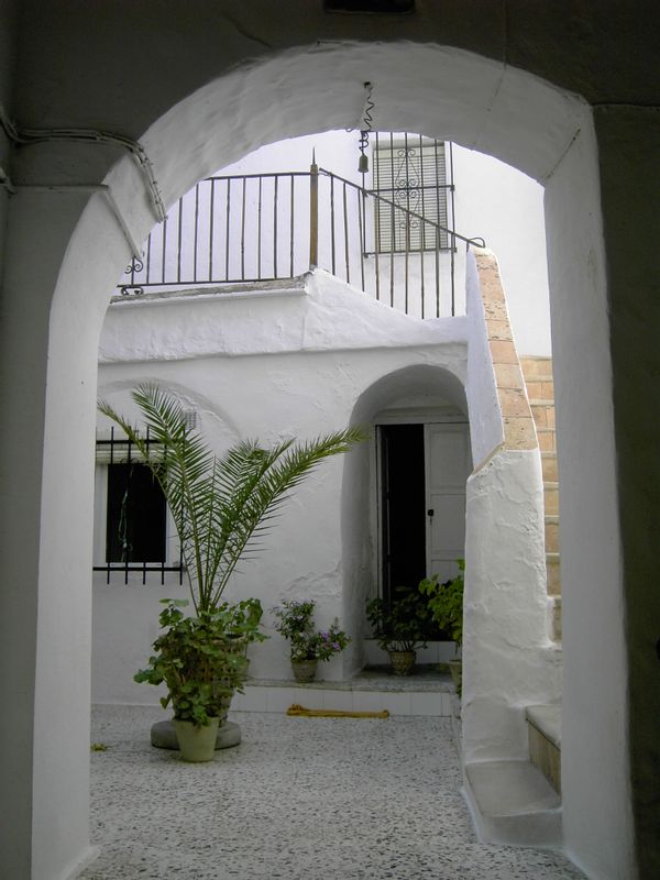 OLIVA's house