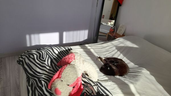 Christine et Rémi's house