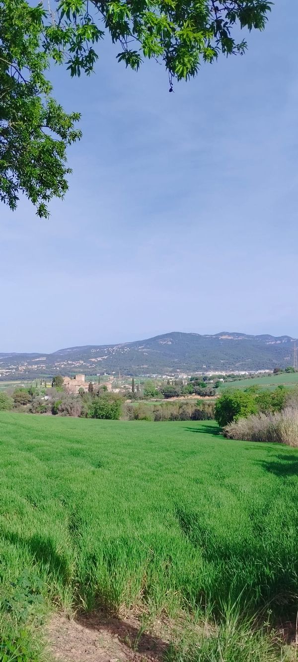 La maison de Marta and Isaac