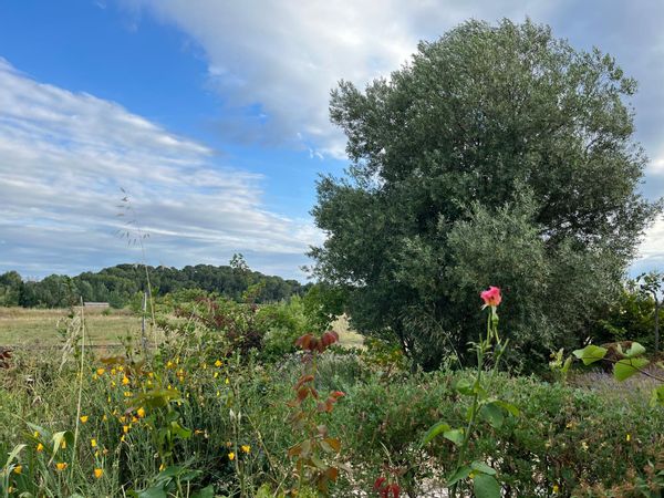 La maison de JEAN CHARLES