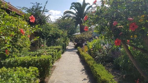 Carola & familys hus