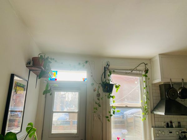 Arnaud et Elodie's house