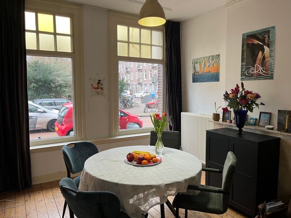 My temporary februari 2026 birdnesting hide out in the city