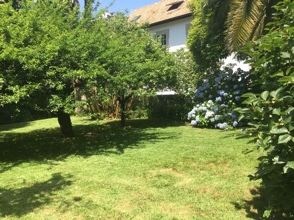 Sara's house