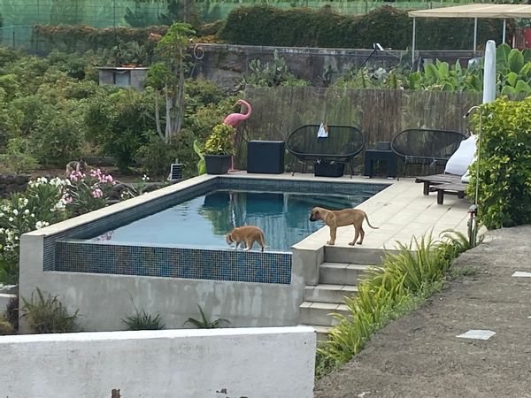 Juan Pablo's house