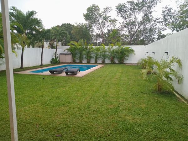 Neda en Jasper's house