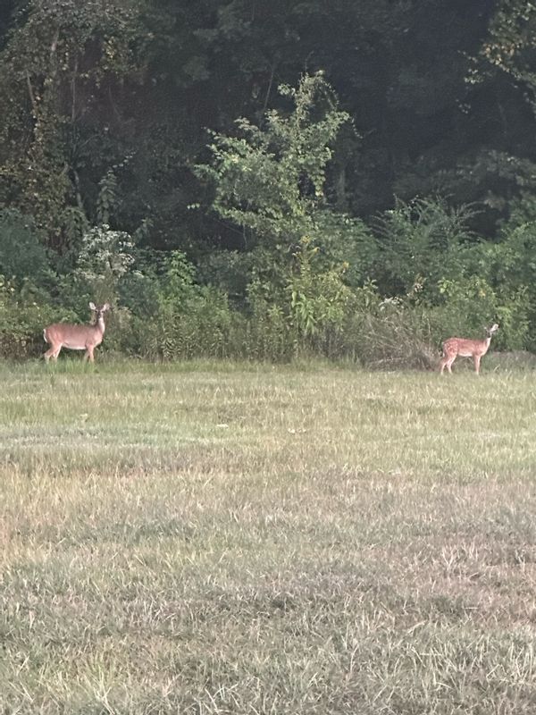 La maison de Caroline