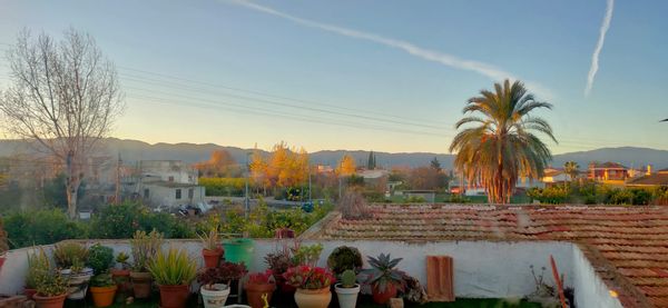 Fran & Ana's house