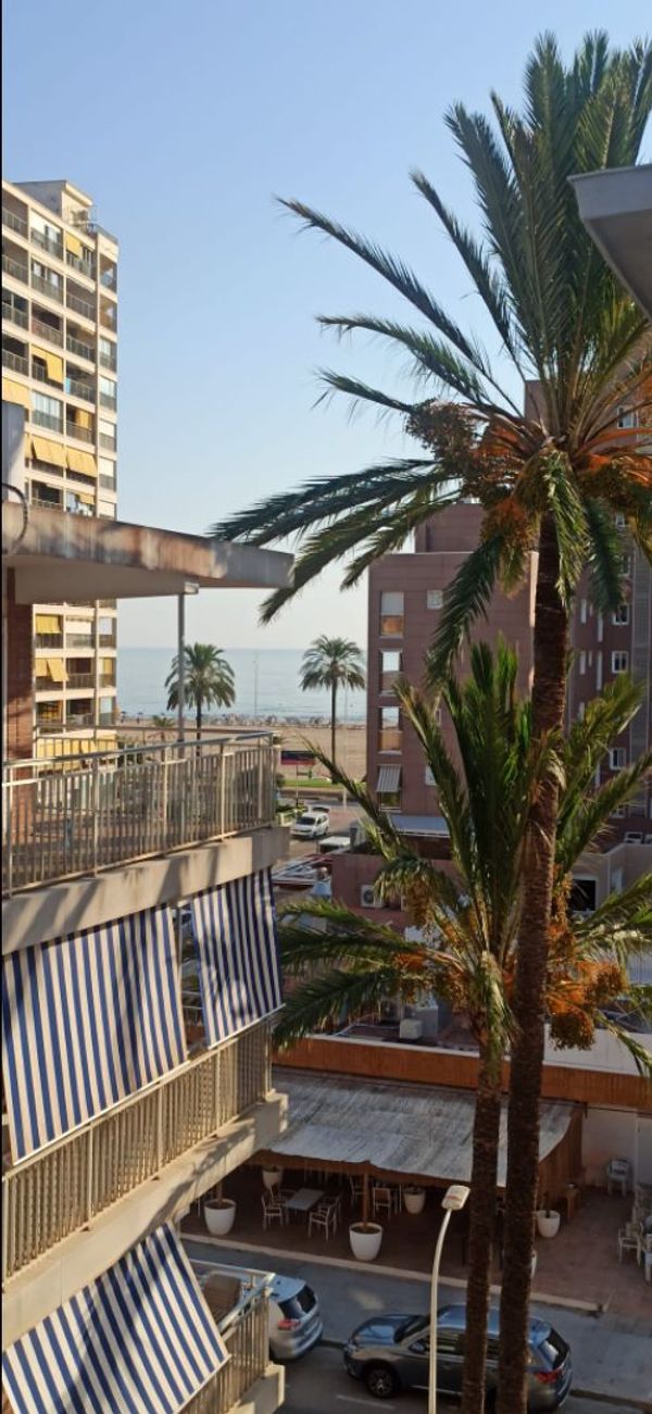acogedor apartamento en Gandia playa