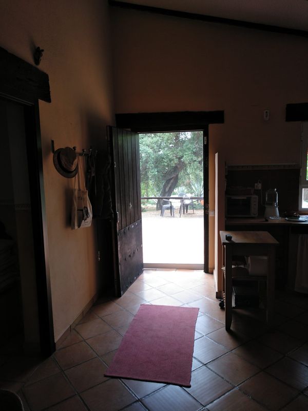 Miguel's house
