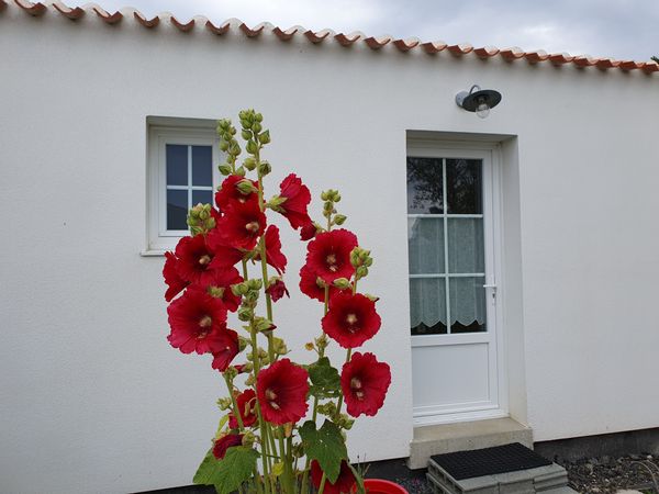Sandra's house