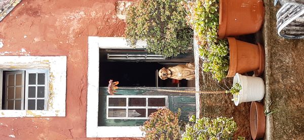 La maison de Joana