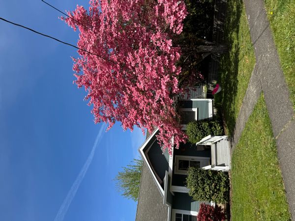 Eric-James's house