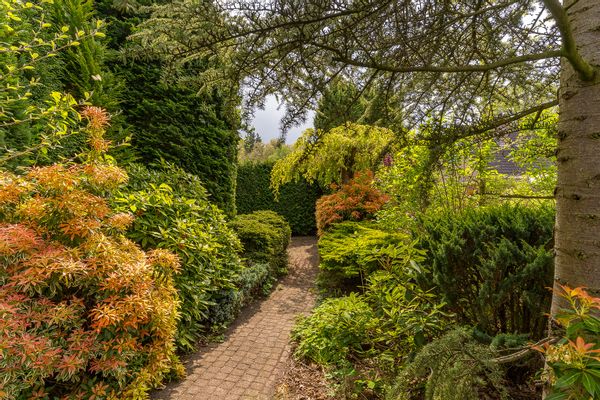 Mid-century Single Family Home with Lush Garden near Forest & Lake