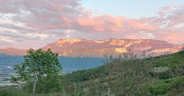 La maison de CORALIE