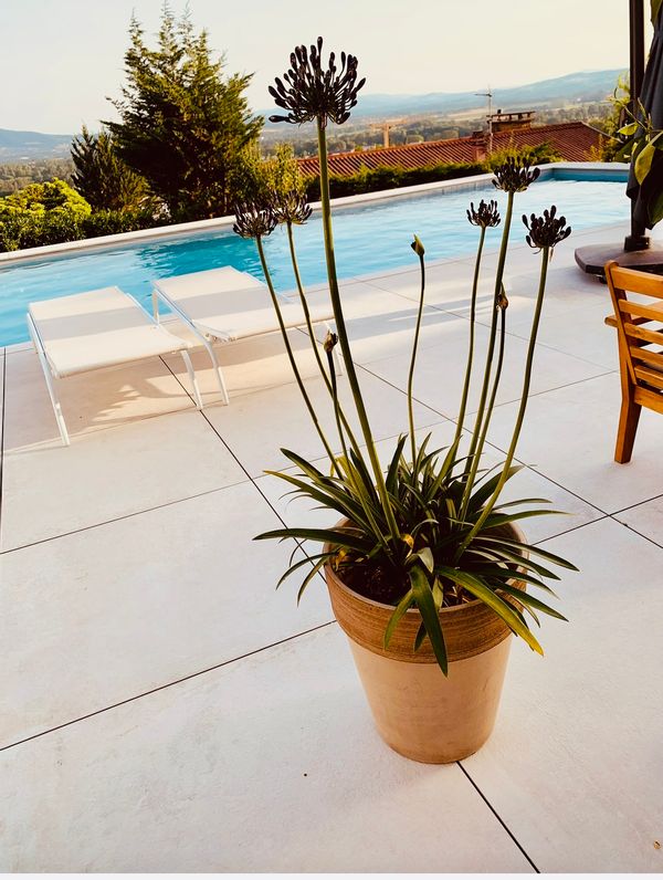 La maison de Raphael & Anissa