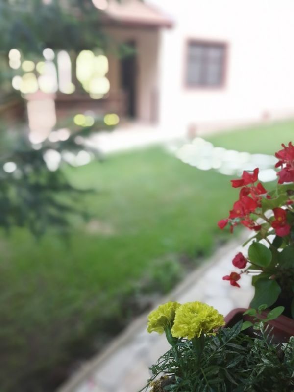 Sasho's house