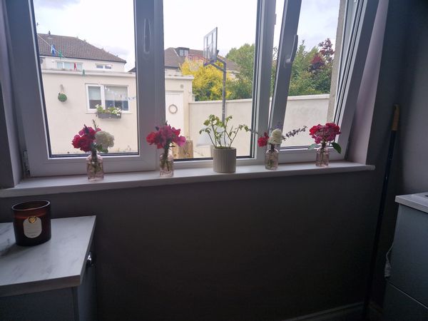 Edel's house