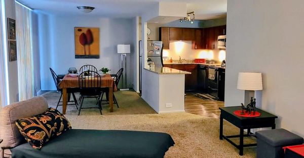 Cozy apartment in Chicago Western suburb