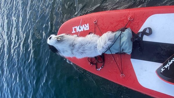 La maison de Christelle