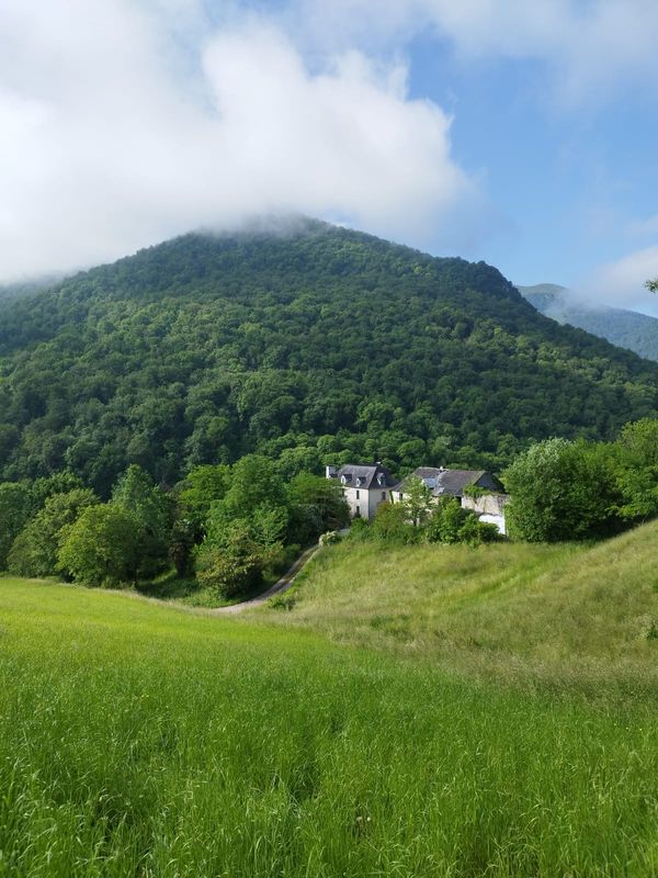 Le paradis perdu de Elisa
