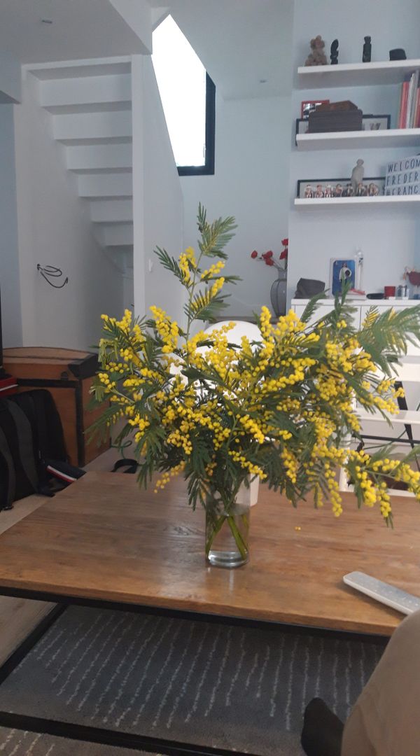 La maison de Coco et Seb