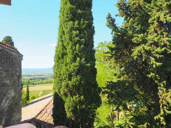 Lauren, Martin & Olivier's home