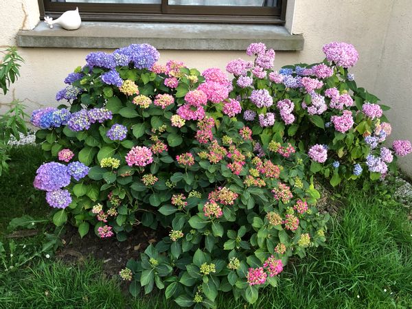 Jolie maison campagne