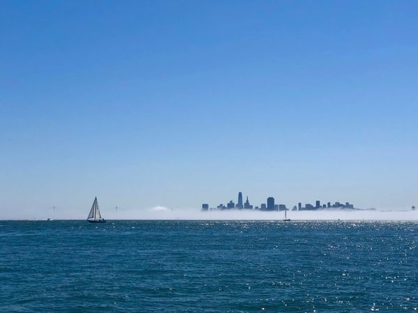 Sausalito + San Fran: Lovely 2 bed condo for 1-2 people only