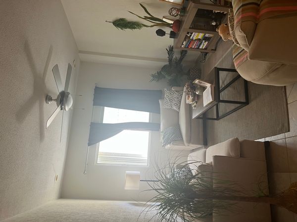Pepe's house