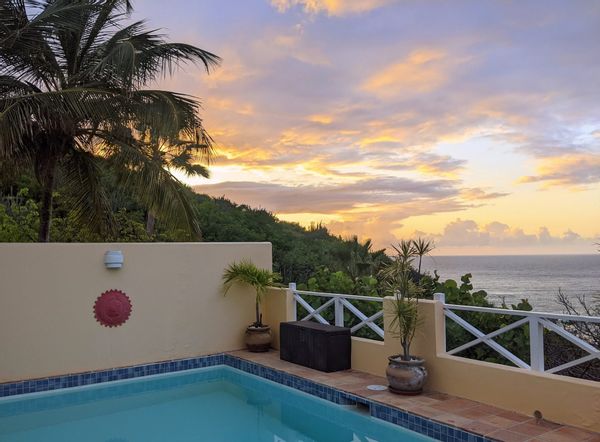 Caribbean Cottage w/ Private Pool | "Twin Palms"