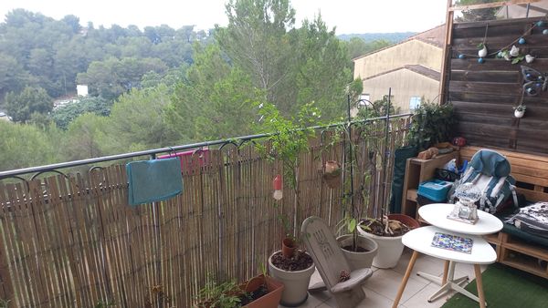 Aymen's house