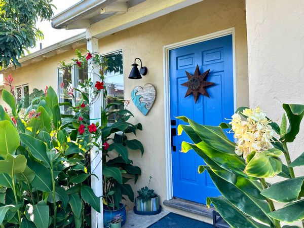 Mountain View Oasis