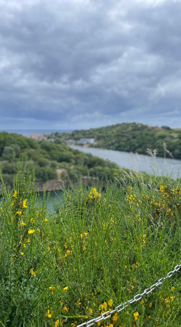 La maison de Michael