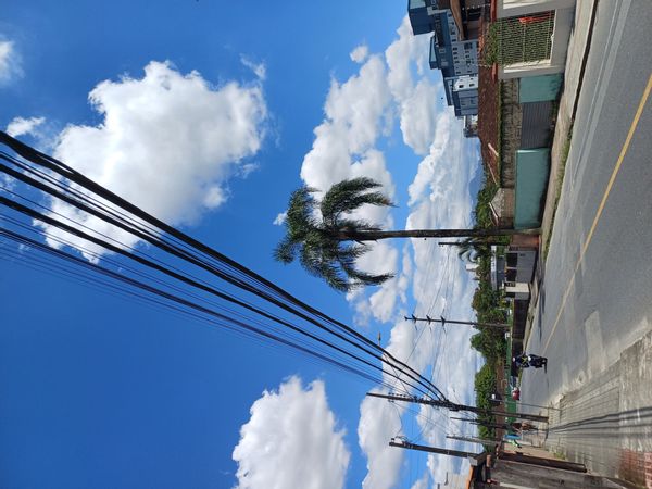 La maison de Mariana Ávila