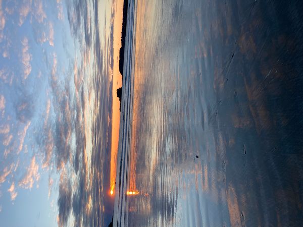 Gorgeous nature just out the door - minutes from river, lake and ocean & 20 minutes to mountains!