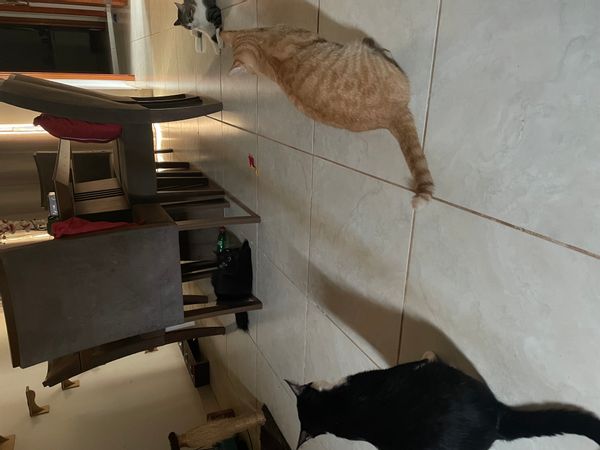 La maison de Gabriela