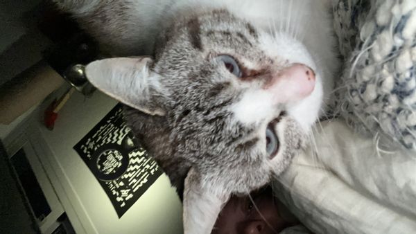 chambre privée au sein d’un spacieux duplex