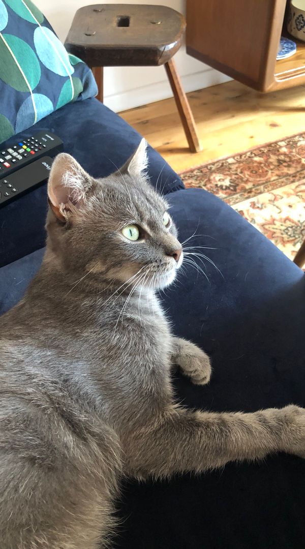 La maison de Anne- Caroline