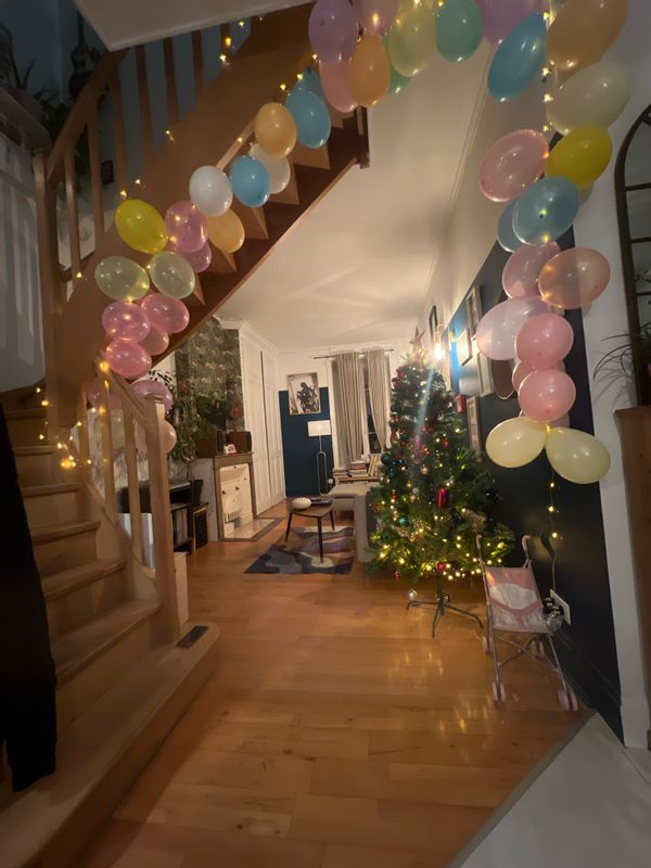 Appartement en duplex - Oullins