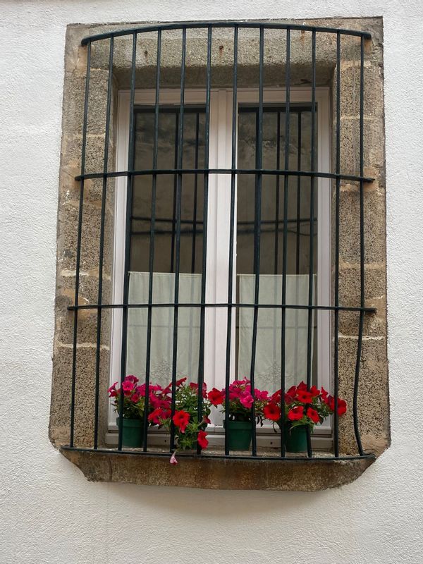 Macarena y Carloss hus