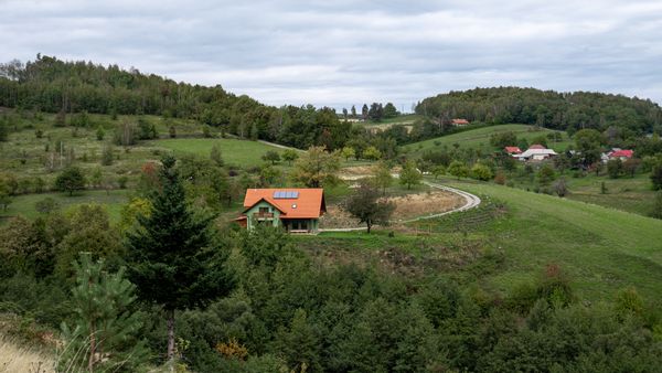 Rose Hip Hill Farmhouse