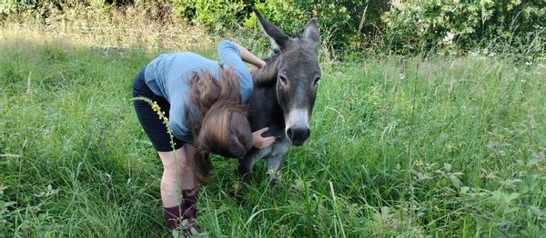 La maison de Daphné