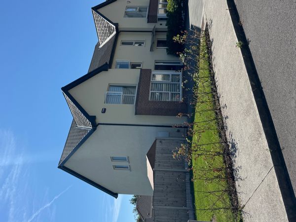 Hollys hus